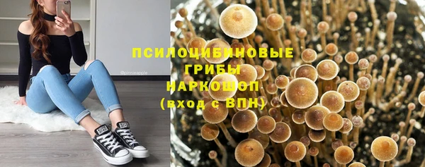 кокс Абдулино