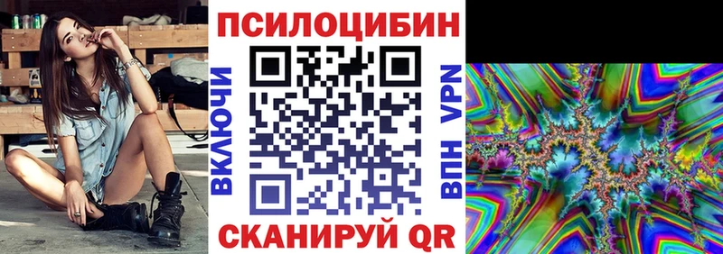 где найти наркотики  Зеленогорск  blacksprut зеркало  Псилоцибиновые грибы Psilocybe 